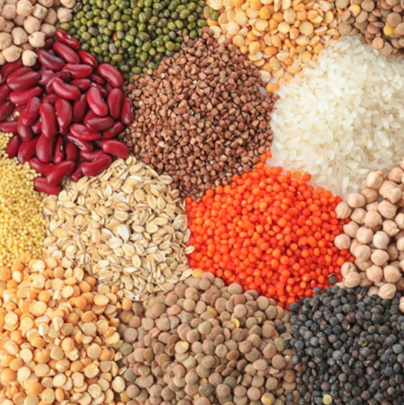 Gulfood Manufacturing