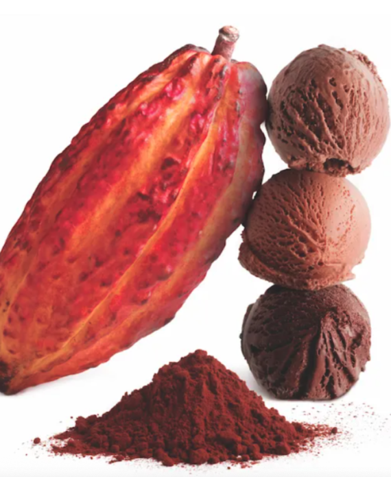 Gulfood Manufacturing